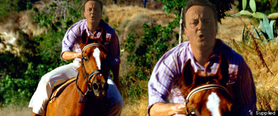 Cameronhorsenew