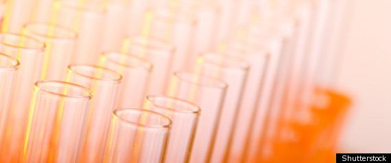 Scientifiques Controle Gouvernement