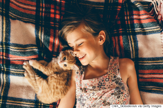 baby and cat