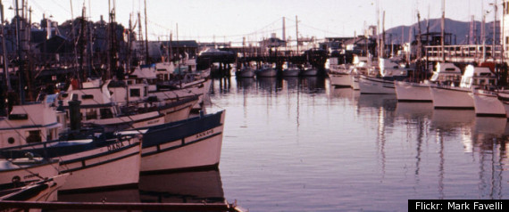 Pacific Coast Fishing