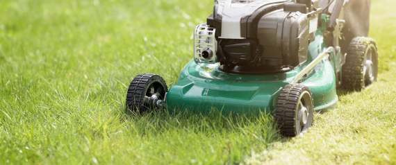 قريباً عشب منزلك سيتحول إلى وقود للطائرات.. فاستعد للسفر بأسعار زهيدة