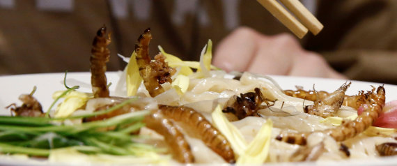 http://i.huffpost.com/gen/5231924/images/n-PASTA-WITH-INSECTS-JAPAN-large570.jpg