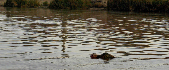 جثث طافية مكبلة الأيدي ومعصوبة العينين بنهر دجلة.. لغز يحير العراقيين
