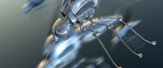 النحل البوليسي ووحدة البراغيث السرية.. أشهر محاولات استخدام الحشرات سلاحاً في الحروب