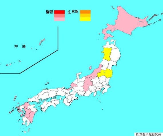 influenza map