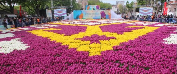 إسطنبول تتزين بأكبر سجادة في العالم من أزهار التوليب.. حجمها على تاريخ فتح القسطنطينية (صور)