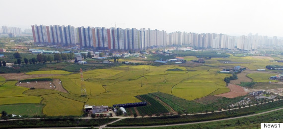 land
