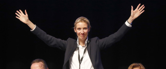 Die Große Unbekannte: Wer Ist Alice Weidel, Die Neue Spitzenkandidatin ...