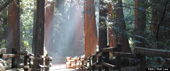 Ca Parks