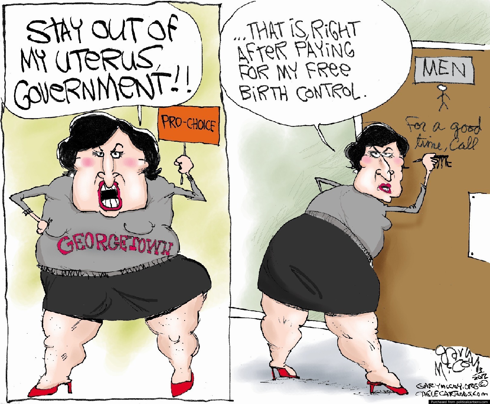 SANDRA-FLUKE-CARTOON.jpg