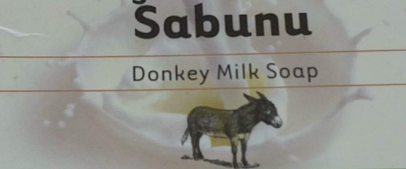 استحمت به كليوباترا ورضع منه البابا فرنسيس.. لماذا "حليب الحمار" باهظ الثمن