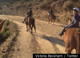 Brooklyn's Posh Riding Lesson