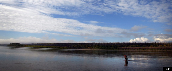 Oilsands Wetlands Reclamation