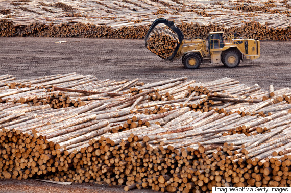 softwood lumber canada