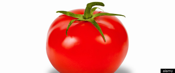 Tomato