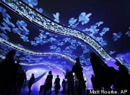 PHOTOS: Pictures Of The Week: March 5 - 11