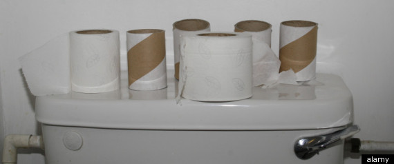 Toilet Paper