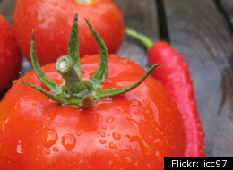 Be Honest: Do You Wash Your Fruits And Vegetables?