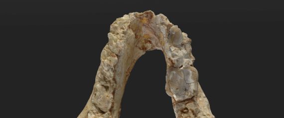 GRAECOPITHECUS