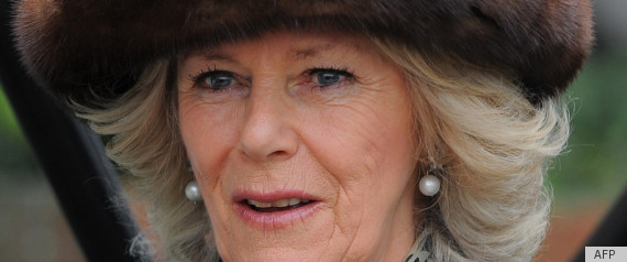 Camilla Wears Princess Dianas Old Brooch
