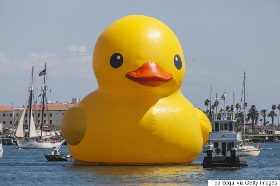 giant duck