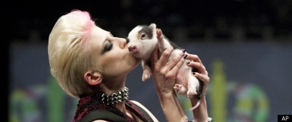 Piglet