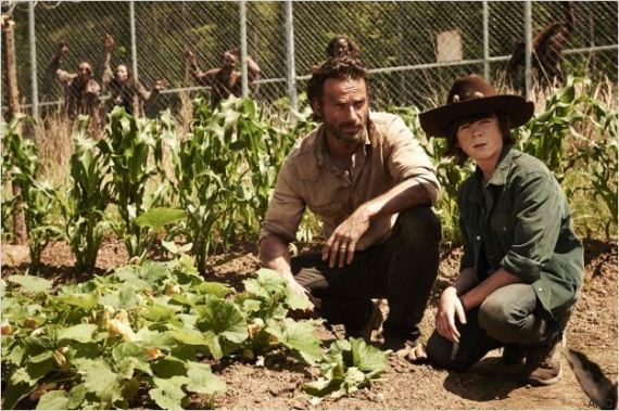 walking dead