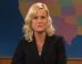 amy-poehler