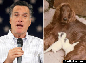 Santorum Says Seamus The Dog Is Important - s-MITT-ROMNEY-SEAMUS-DOG-large300