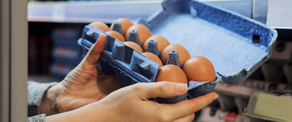 لماذا لا يوضع البيض في البرادات بالمتاجر؟