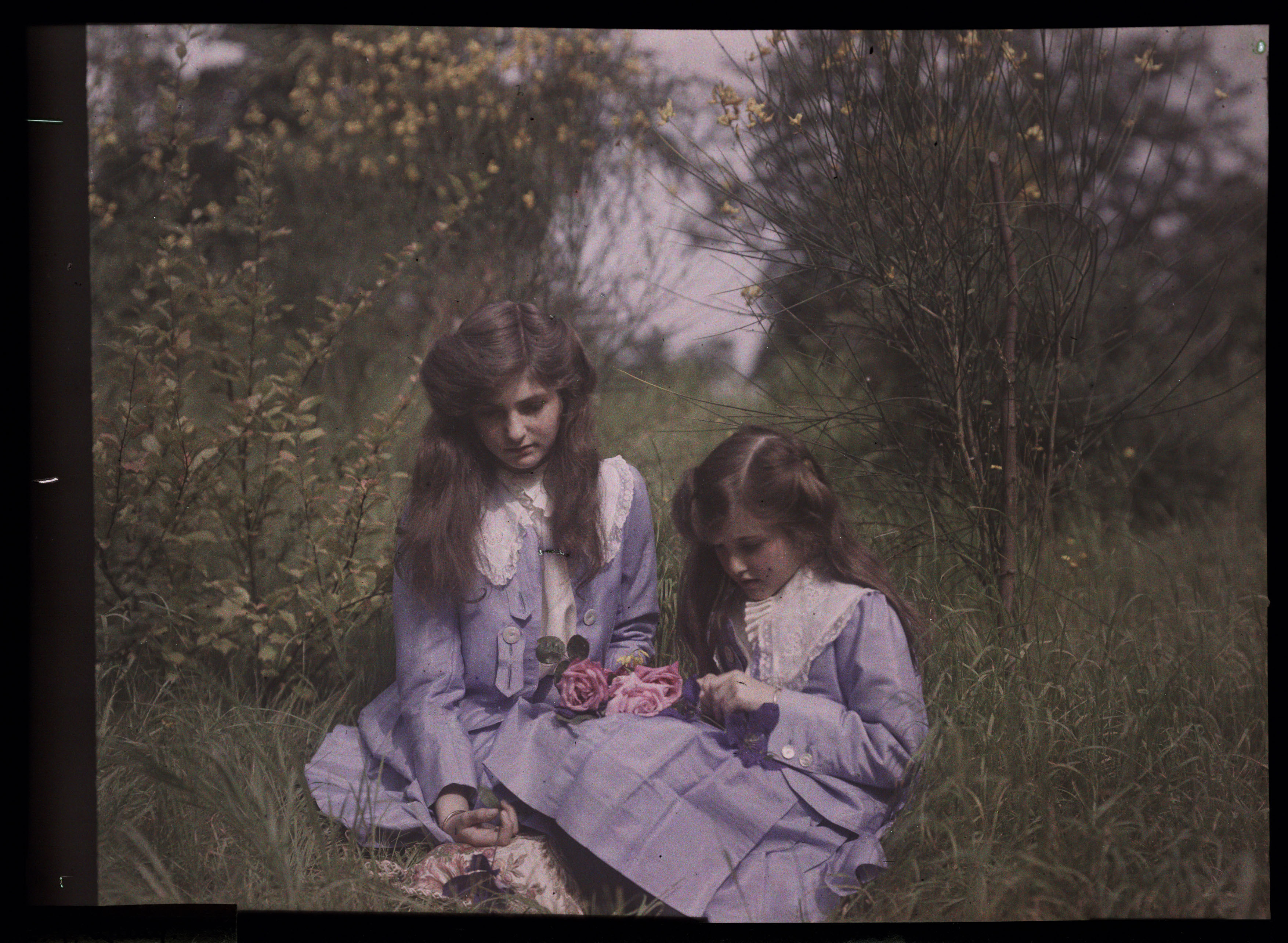 sisters garden