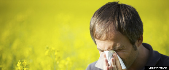Allergies