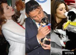 Puppy Love