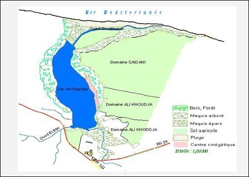 reghaia