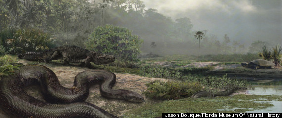 Titanoboa
