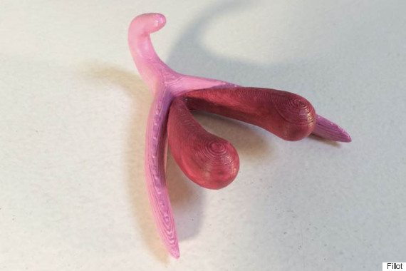 clitoris