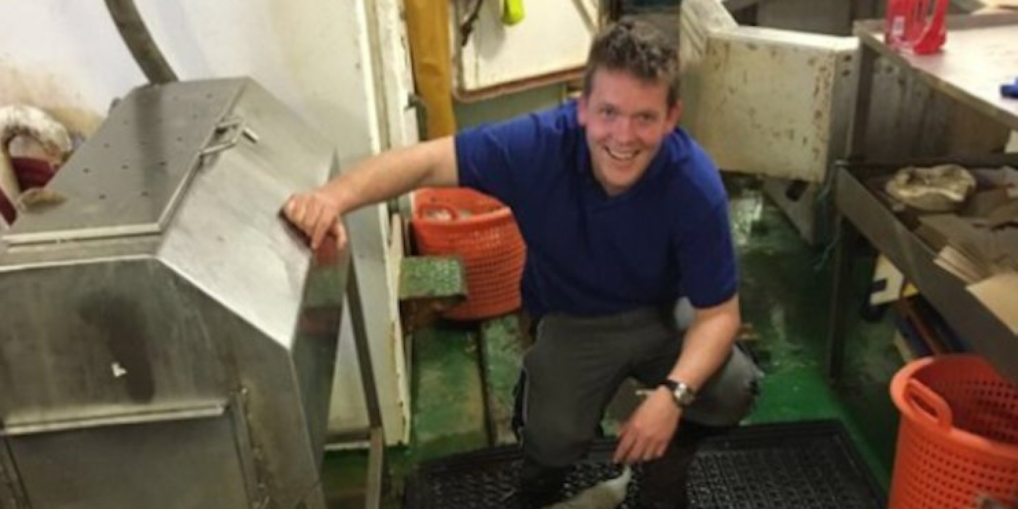Irische Fischer ziehen ihr Netz aus dem Wasser - dann krabbelt ihnen eine 5,4 Meter lange Kreatur entgegen