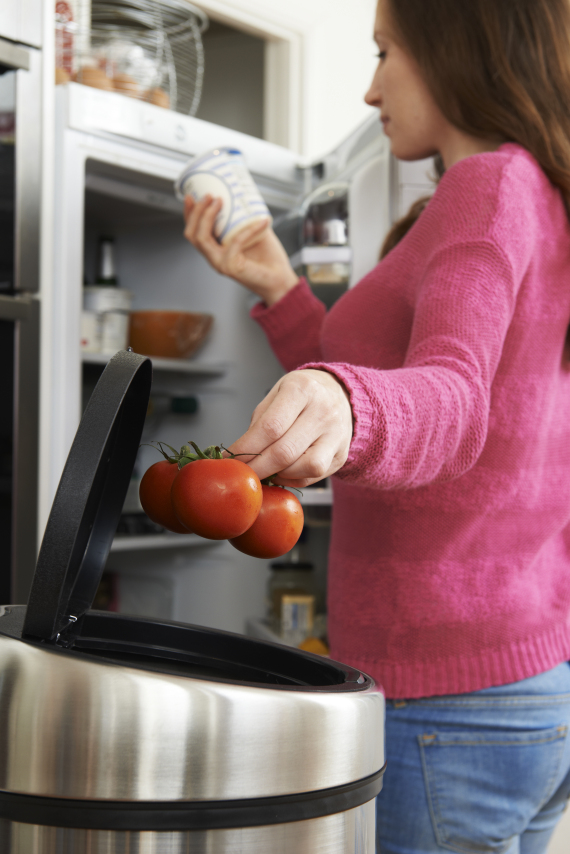 rotten tomatoes fridge