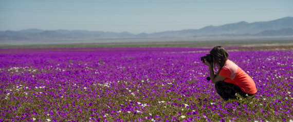 ATACAMA DESERT