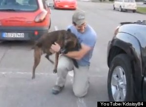 Soldier Surprises Dog