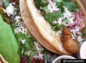 Food Photos