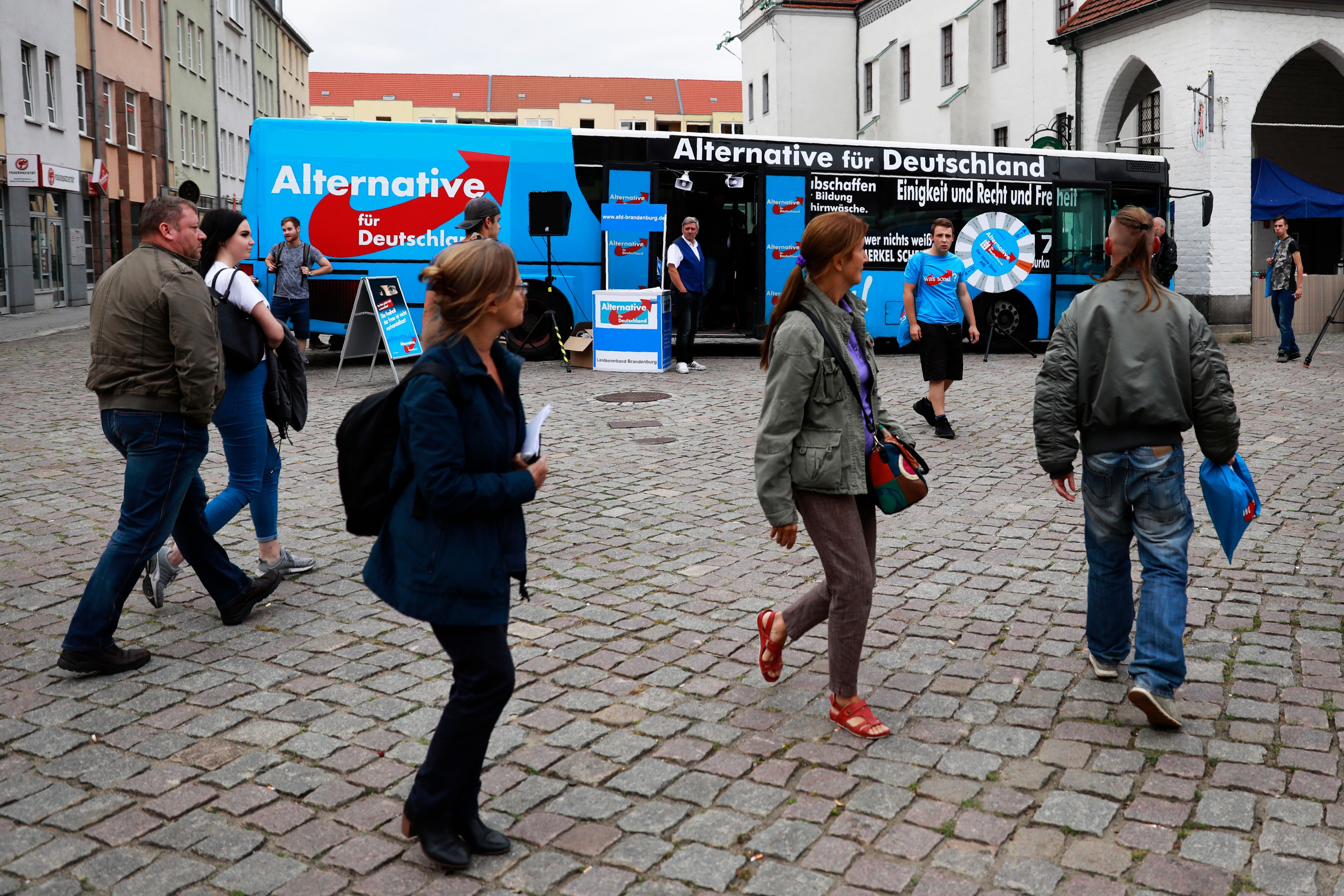 afd voters