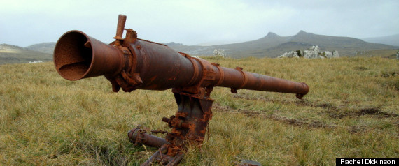 Falklands