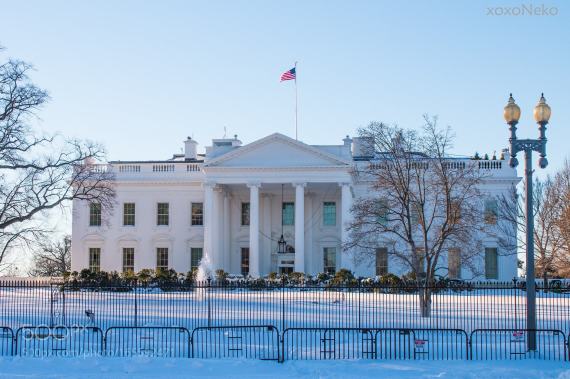 white house