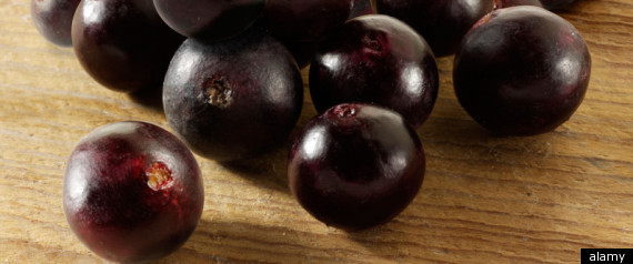 Spammers Target Pinterest With Acai Berry Diet