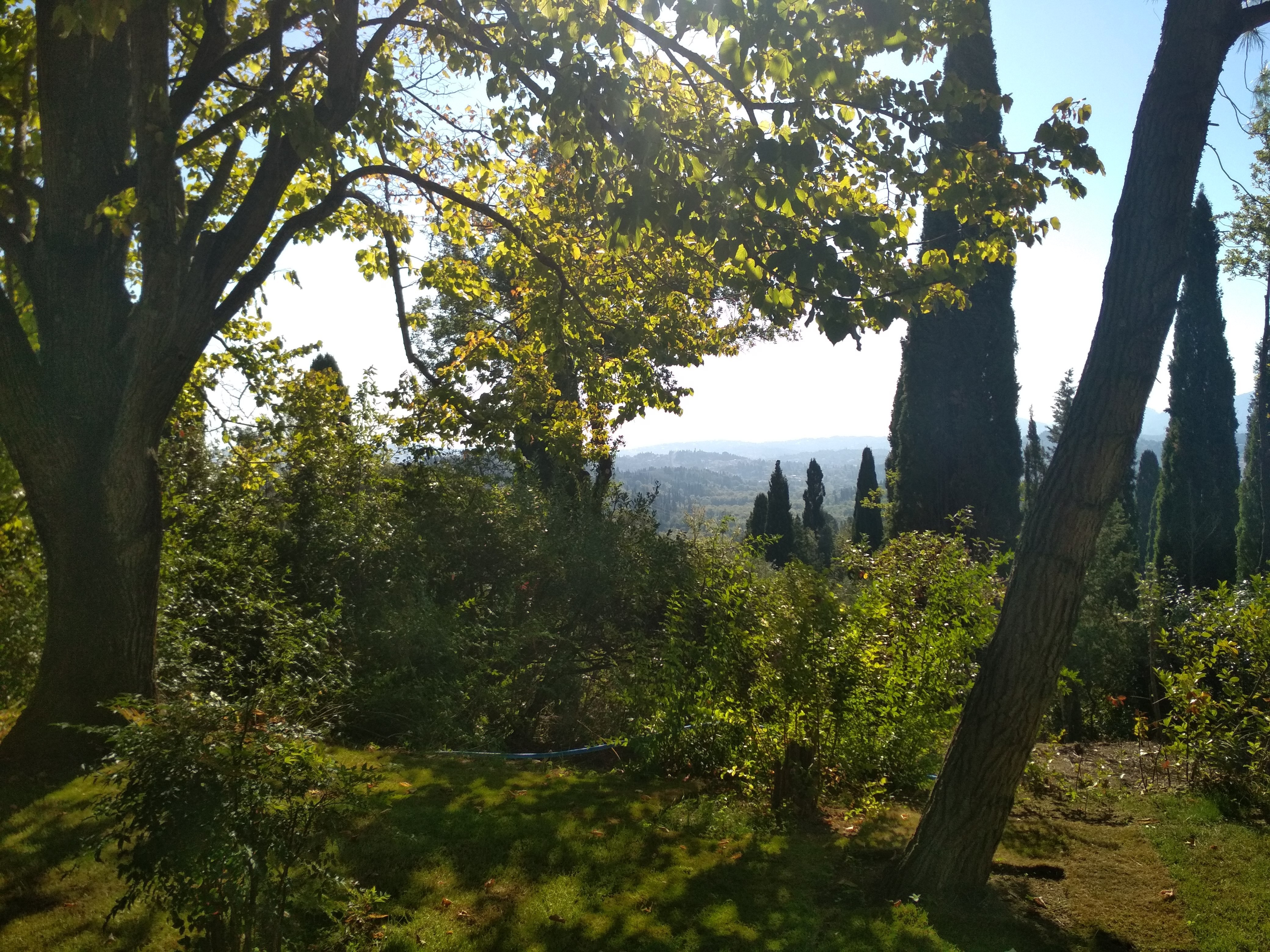 mouseio kapodistria