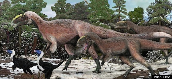 Us Supreme Court Declines To Take Up >> Yutyrannus Huali, Tyrannosaurus Rex Relative, Was Largest ... Us Supreme Court Declines To Take Up >> Yutyrannus Huali, Tyrannosaurus Rex Relative, Was Largest ...