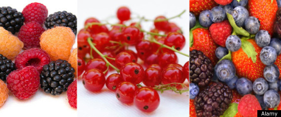 Parkinsons Flavonoids