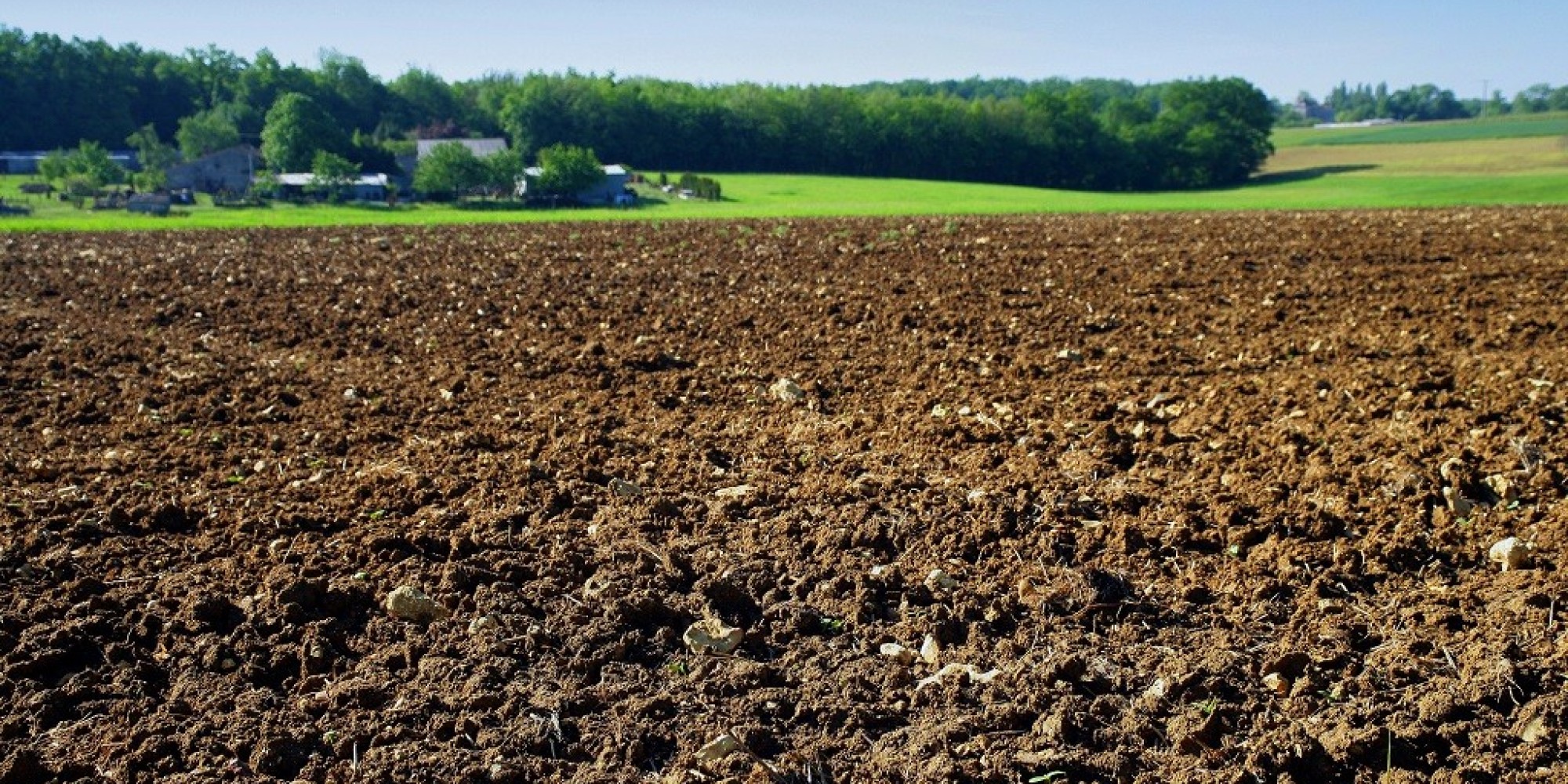 Les terres agricoles non exploitées seront récupérées