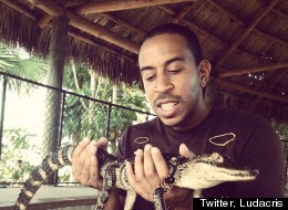 Spring Break, Celeb Style (PHOTOS)